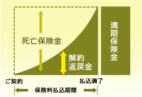 養老保険図