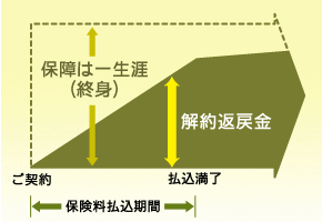 終身保険図