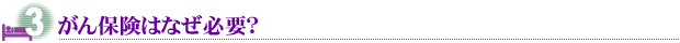 がん保険はなぜ必要?