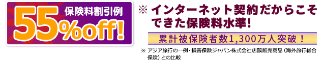 保険料割引例55％off! インターネット契約だからこそできた保険料水準！