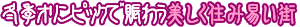 冬季オリンピックで賑わう美しく住み易い街