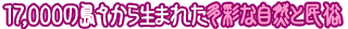 17,000の島々から生まれた多彩な自然と民俗